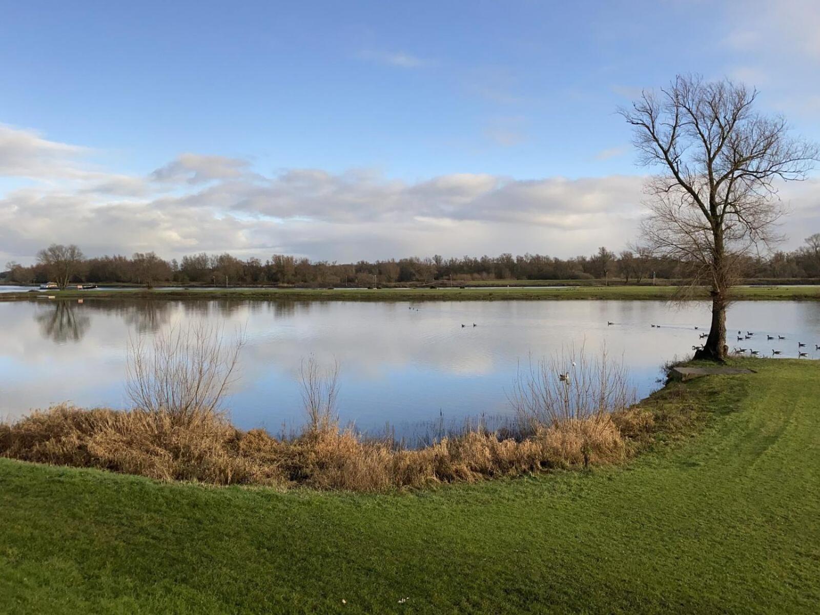 Recreatiepark En Jachthaven De Scherpenhof Terwolde 객실 사진